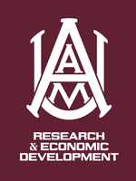 Photo of Debbie Hunter